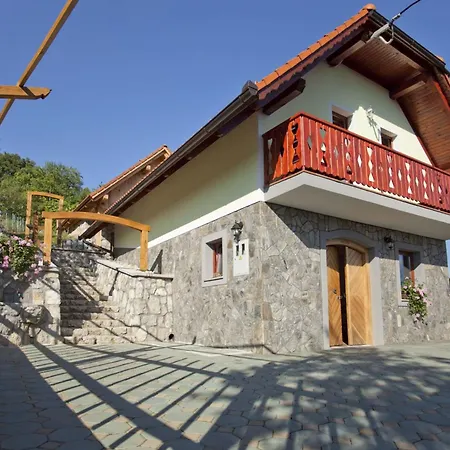 Vineyard Lustek - Happy